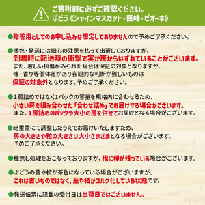 【2025年7月～8月発送予定】九州・福岡フルーツ王国八女から直送！巨峰［ぶどう］４パック（約1.2kg）＜配送不可：北海道・沖縄・離島＞ 072-006
