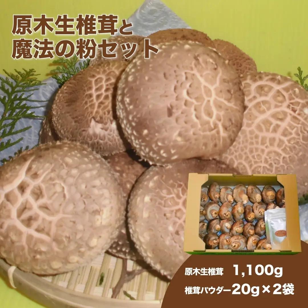 椎茸の粉＋原木生椎茸のセット(しいたけ)