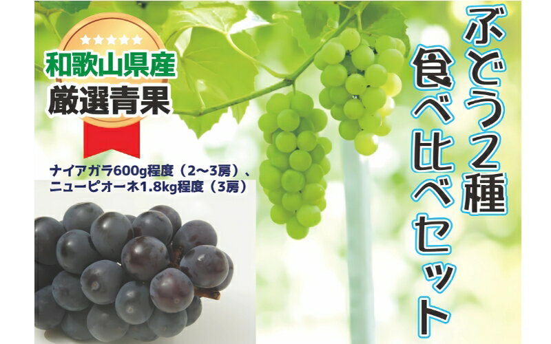 【ふるさと納税】 【絶品】ぶどう2種食べ比べセット【8月中旬～下旬ごろに発送予定】