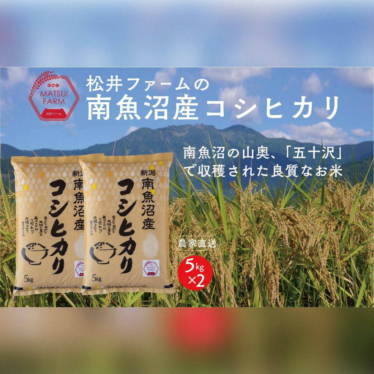 【ふるさと納税】令和8年産【新米】【定期便（無洗米）】南魚沼産コシヒカリ（10kg×6回) | お米 こめ 白米 コシヒカリ 食品 人気 おすすめ 送料無料 魚沼 南魚沼 南魚沼市 新潟県産 新潟県 精米 産直 産地直送 お取り寄せ
