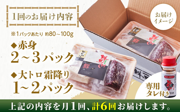 【全6回定期便】国内肥育 馬刺し 大トロ霜降り赤身セット 約300g ( 大トロ霜降り 約100g 赤身 約200g ) 専用タレ付き 熊本 冷凍 馬肉 馬刺【有限会社 丸重ミート】[YAK030]