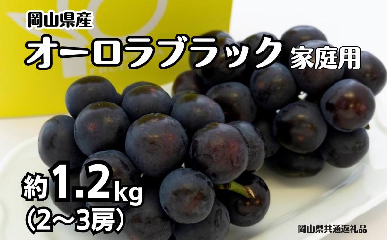 
                  ご家庭用 オーロラブラック 2～3房 合計約1.2kg 【先行予約 2026年8月下旬から順次発送】
                
