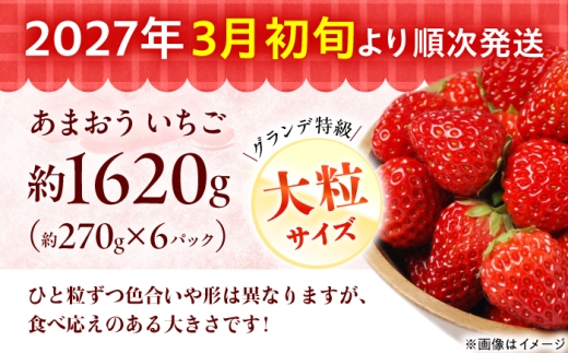 あまおう いちご 1620g（約270g×6パック）【2027年3月初旬より順次発送】 《築上町》【株式会社HSP-テクノ】[ABFG002] いちご アマオウ 生いちご あまおう くだもの あまおう