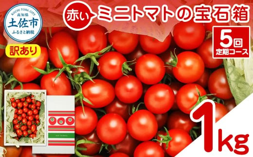 【訳あり】【全5回定期便】【先行予約】訳あり 赤いミニトマトの宝石箱 約1kg〈2026年12月から配送開始〉 約1キロ 5回定期便 トマト とまと ミックス 詰め合わせ セット 野菜 料理 サラダ マリネ 浅漬け おやつ 弁当 訳アリ 家庭用 ご自宅用 高知県 土佐市【ファーム輝】 [BQBM013]