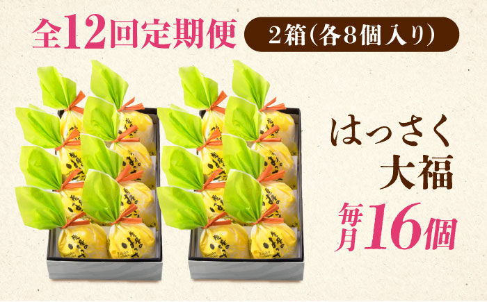 【全12回定期便】お菓子 はっさく大福8個入×2　 お菓子 大福 八朔 柑橘 みかん オレンジ 餅 ギフト お取り寄せ スイーツ フルーツ大福 ご当地 菓子 おかし デザート 食品 人気 おすすめ 広