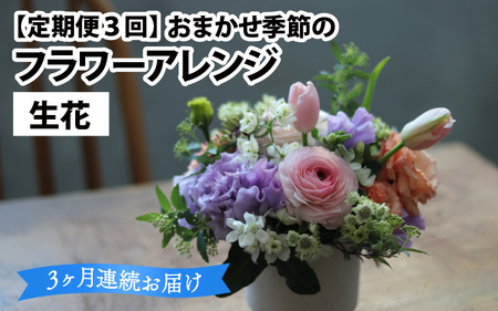 【定期便３回】おまかせ季節のフラワーアレンジ（生花）×３ヶ月  お好み、着日指定可能