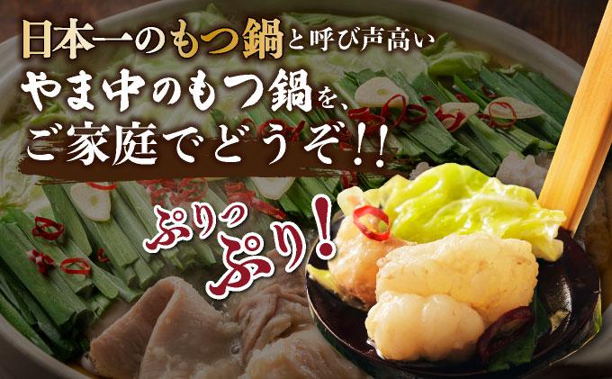 もつ鍋 みそ味 3～4人前【博多もつ鍋やま中】