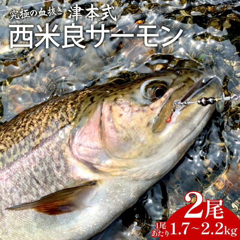 【ふるさと納税】《津本式》西米良サーモン2尾 ～津本光弘本人仕立て～ (1尾1.7～2.2kg) 厳選 ドナルドソントラウト イワナ 刺身 カルパッチョ マリネ 塩焼き 香草焼き ホイル焼き 西京焼き 魚介類 水産物 魚料理 海鮮丼 水産加工物 熟成 魚介 宮崎県 宮崎市 送料無料