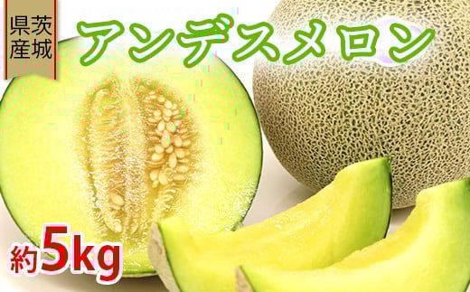 608 アンデスメロン【秀品】約5kg（3～5玉） フルーツ 茨城 茨城県産 人気 果物 メロン 【事業者：小島 正幸】