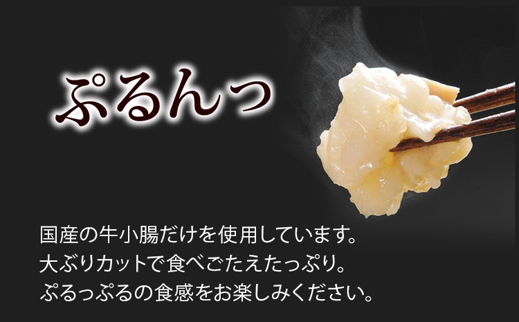博多もつ鍋やまや もつ鍋セット こく味噌味(1～2人前) 小腸 もつ モツ もつ鍋 みそ味 味噌もつ鍋 国産 牛ホルモン 国産牛小腸 冷凍 おすすめ 福岡県 大木町 株式会社やまやコミュニケーションズ