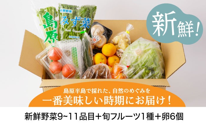 野菜 卵  果物 新鮮 セット 詰め合わせ 定期便 産地 直送