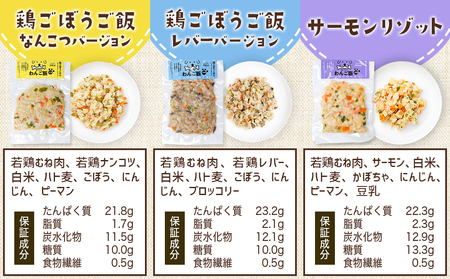 手づくり☆わんご飯『10種のわんだふるセット』_AC-J501_(都城市) 犬用 手づくりご飯 鶏ごぼうご飯 サーモンリゾット すき焼き風ご飯 とまとスープご飯 ぶり大根 馬肉ッパ 牛しぐれ等 ペット