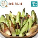 【ふるさと納税】山菜 さしぼ 100g×4パック（発送は4月～5月頃）