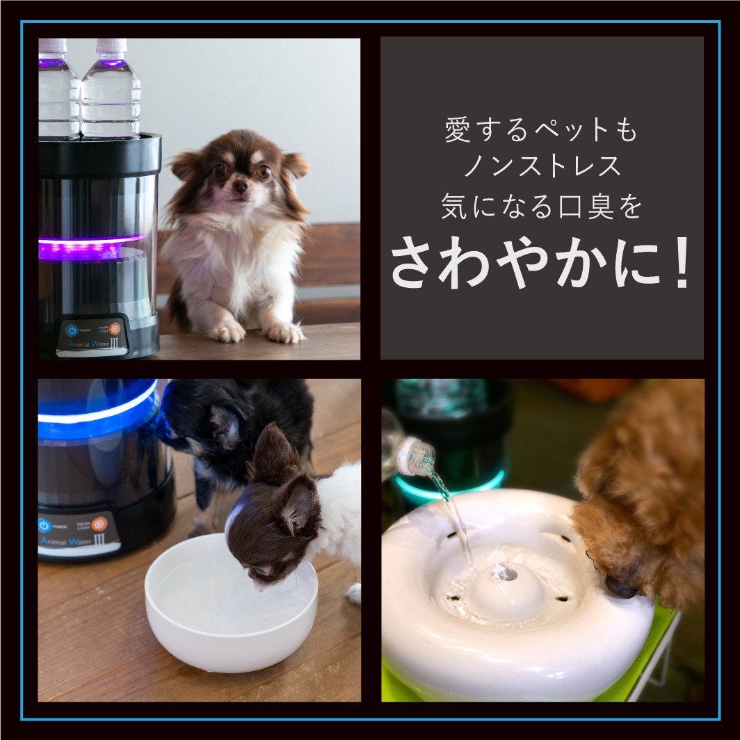 
            G413p アニマルウォーターⅢ
          