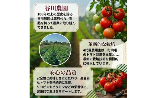 【3ヵ月毎定期便】谷川農園の桃太郎トマトジュース【180ml×12本】全2回【配送不可地域：離島】【4005480】