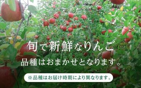 【先行予約 9月中旬～1月下旬発送】飛騨りんご 約5kg (16個～20個）| リンゴ 品種おまかせ MA005
