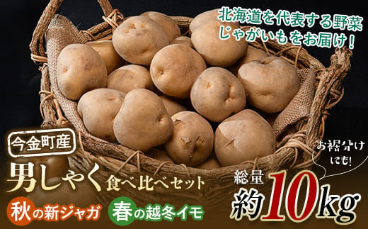 【定期便】北海道今金町産男爵いも【秋の新ジャガ】【春の越冬イモ】食べ比べセット 計10kg 北海道産 じゃがいも ジャガイモ だんしゃく 野菜 セット ほくほく しっとり 常備野菜 F21W-399