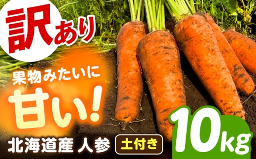 【先行予約】【訳あり】 北海道 にんじん 10kg （土付き）【11月上旬以降発送】《足寄町》【餌取ファーム】 [BEBA006] 北海道産 甘い 訳あり 規格外 キズ 傷 人参 野菜 根菜 ニンジン 10kg 道産 キャロット 糖度高め サラダ ジュース 生鮮野菜 北海道産 あしょろ 足寄