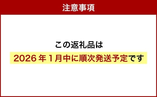 【令和7年産】北海道産 ゆめぴりか 10kg 五つ星お米マイスター監修（深川産）お米 米 精米 ご飯 ごはん 白米 お取り寄せ 深川市【2026年1月より順次発送予定】_イメージ3