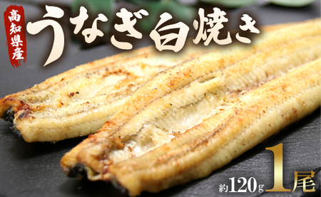 【7日程度で発送】うなぎ白焼き 1尾(約120g)(無頭) 鰻 ウナギ 魚介 山椒塩 惣菜 おかず のし ギフト 贈答 贈り物 プレゼント 丑の日 国産 うなぎ屋きた本 高知県 香南市 冷凍 スピード un-0016