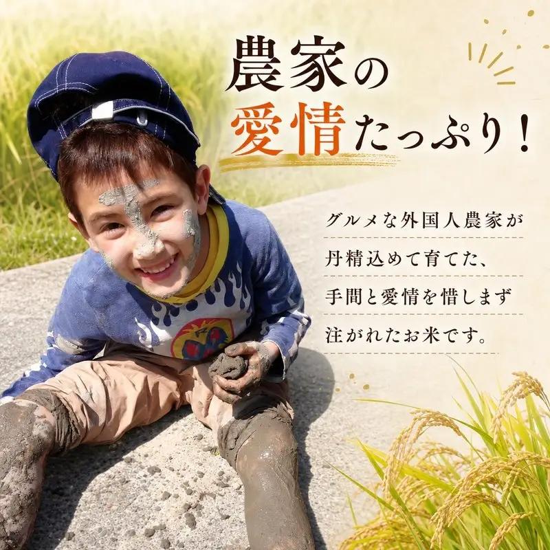 ひのひかり 玄米 新米 5kg 2026年産［1120-2］