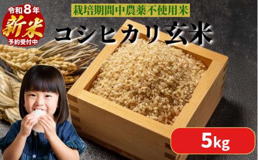 【2026年9月順次発送】 栽培期間中農薬不使用 コシヒカリ玄米 5kg 玄米 米 化学肥料不使用 こめ 健康 ご飯 ダイエット 栄養豊富 ビタミン ミネラル 小松島市