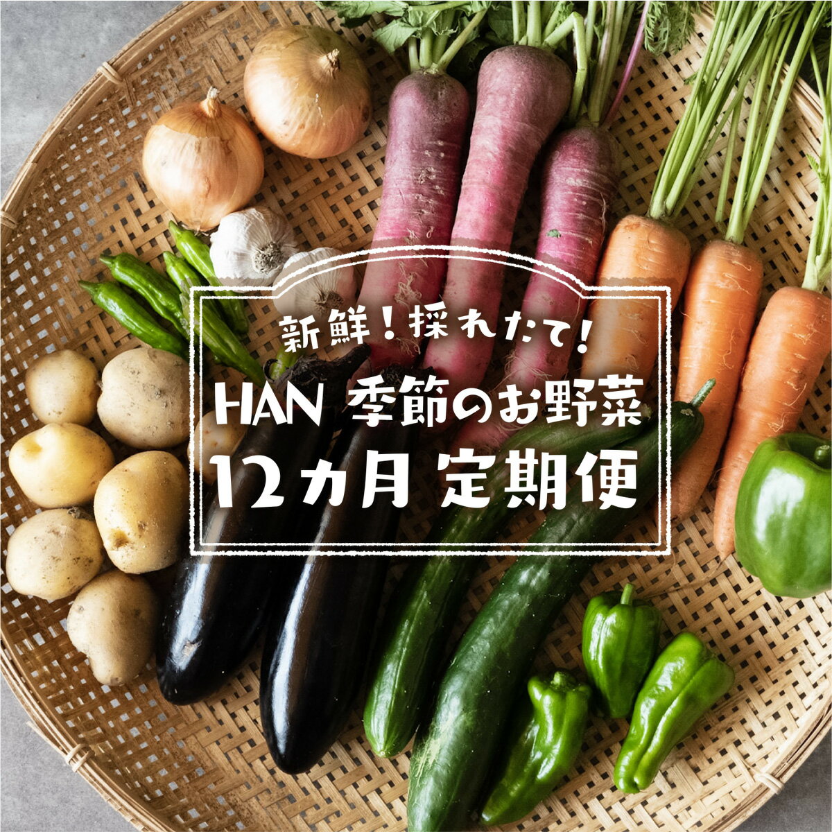 【ふるさと納税】 季節のお野菜 12ヶ月 定期便 野菜 セット 詰め合わせ 農薬不使用 新鮮 採れたて やさい HAN 送料無料