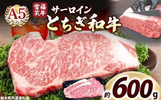 宮福笑牛(とちぎ和牛) A5 サーロインステーキ 200g×3枚｜数量限定 黒毛 和牛 牛肉 国産牛 国産 ブランド牛 お肉 切り落とし サシ 霜降り 甘い ステーキ すき焼き しゃぶしゃぶ 焼肉 切落し 上品 アレンジ 美味しい 料理 主婦 とちぎ  栃木県 矢板市