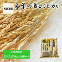 【ふるさと納税】米 若葉の舞 コシヒカリ 玄米食用5kg×2個セット 定期便6回 こしひかり セット 定期便 お米 玄米 千葉 千葉県 低温保存　定期便