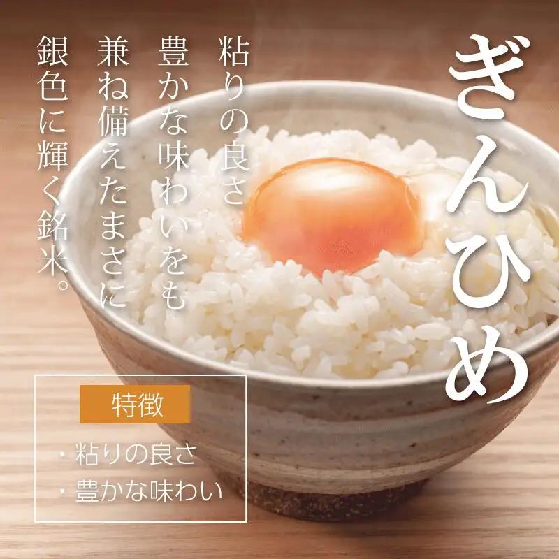 米 三重県産 コシヒカリ ぎんひめ 5kg×2袋（計10kg） 