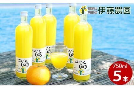 伊藤農園100％ピュアジュースはっさくしぼり750ml×5本(B607-3)