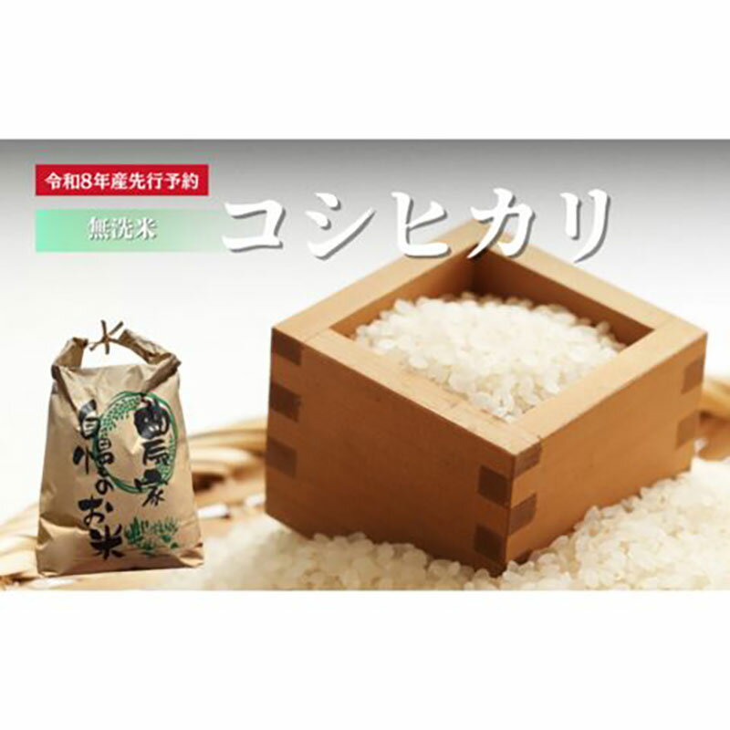 【ふるさと納税】【先行予約】無洗米令和8年産 コシヒカリ 5kg 【 お米 米 コメ 精米 南丹市 】　お届け：令和8年10月中旬以降順次発送