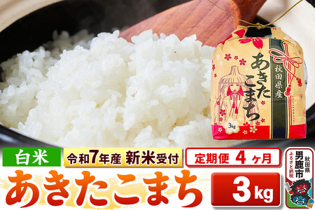 《令和7年産 新米受付》《定期便4ヶ月》【白米】秋田県産 あきたこまち 3kg 秋田県 男鹿市 こまちライン