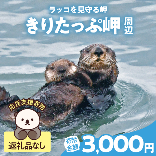 ラッコを見守る岬「きりたっぷ岬」周辺の環境整備　3000円分 返礼品なし_H0028-009