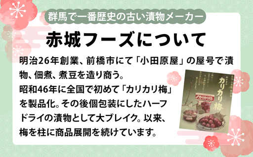梅 シロップ 国産 梅のしろっぷ 2本セット