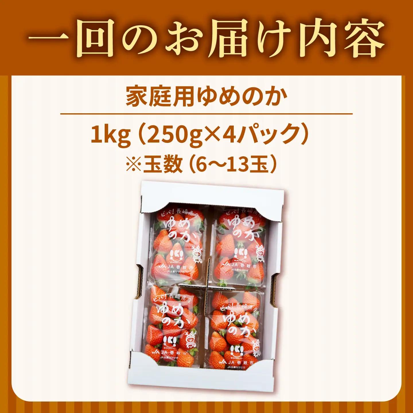 【先行予約】【訳あり/簡易包装】【全3回定期便】ゆめのか 約250g×4パック【2027年1月以降順次発送】【Strawberry Gang】 [JEM004] イチゴ 苺 訳あり
