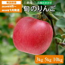 【ふるさと納税】【2024年9月中旬～2025年1月発送】 三関旬のりんご 選べる 3kg（8玉～12玉） 5kg（12玉～20玉） 10kg（24玉～40玉） 満杯詰め 三関産 旬 りんご 品種お任せ 果物 フルーツ 秋田県 三関 [J5-15101]