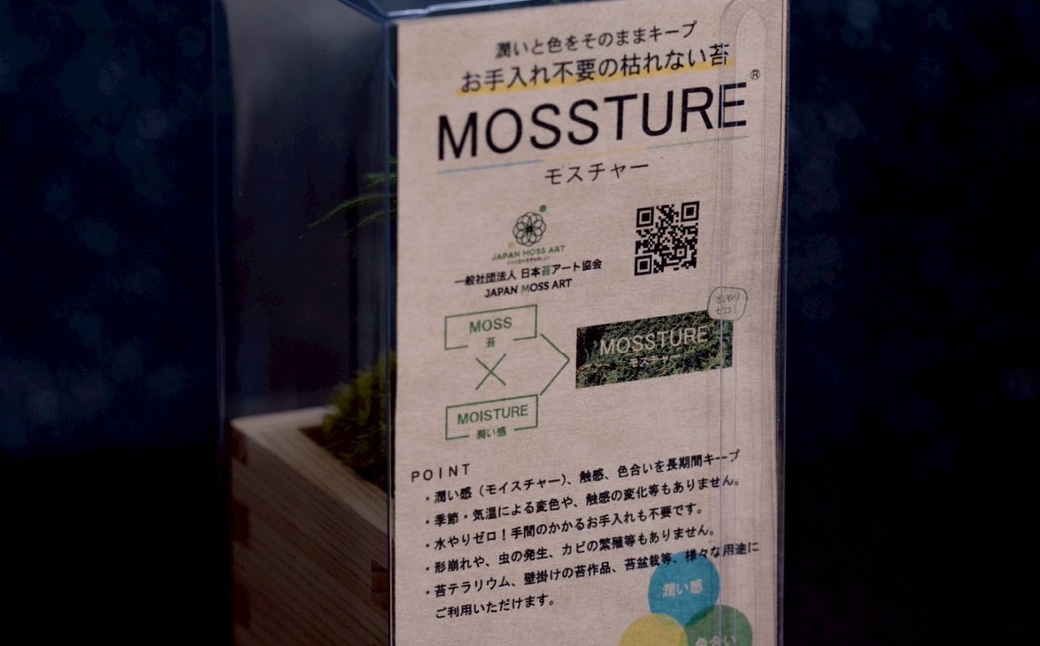 枯れない苔のミニ盆栽 | 苔盆栽 枯れない 苔 インテリア ミニ盆栽 人工 プリザーブド 苔玉 おしゃれ 和風 ギフト プレゼント 癒し 室内緑化 長持ち 手入れ不要 新築祝い 開店祝い デスク イン