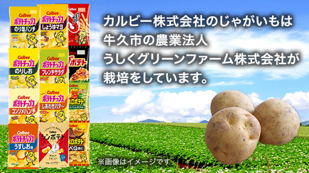 カルビー ポテトチップス スナック菓子 お楽しみ 24袋 セット ポテチ お菓子 おかし 大量 スナック おつまみ ジャガイモ じゃがいも まとめ買い 期間限定 数量限定
