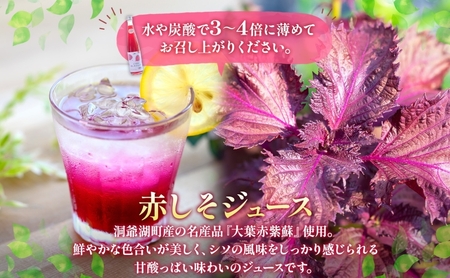 定期便 連続2回 北海道産 赤しそジュース アロニアジュース 500ml 各1本 希釈用 赤しそ アロニア 果汁 ジュース ドリンク 飲料 飲み物 フルーツ しそ シソ 紫蘇 贈答 詰め合わせ お取り