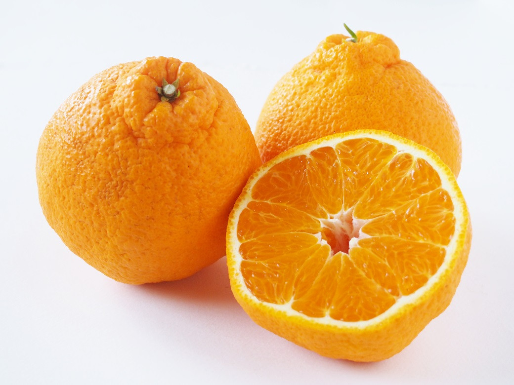 不知火 約2.5kg 7～10玉