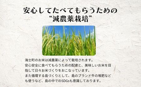 先行予約受付【令和7年度産 海士町産きぬむすめ7kg】島の新米きぬむすめをお届け！ お米 新米 精米 白米 弁当 ごはん ご飯 ギフト