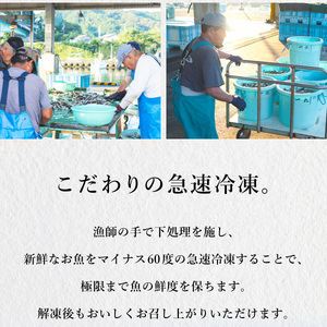 カツオ 藁焼き 3節 約700g 鰹 かつお わら焼き 鰹のたたき