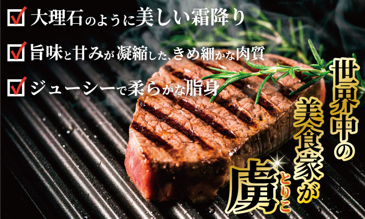 希少部位！A4 〜 A5 佐賀牛 シャトーブリアンステーキ（600g） 佐賀牛