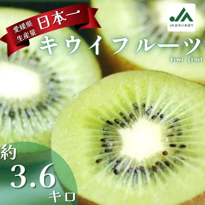 【先行予約】キウイフルーツ L～M 30～33個 
