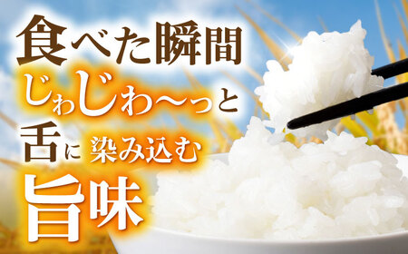 循環農法米 ヒノヒカリ白米 10kg / 米 こめ コメ おこめ お米 白米 ひのひかり / 諫早市 / 株式会社土井農場[AHAD095]