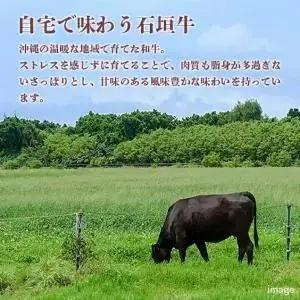 石垣牛・ステーキ肉 ヒレ 360g（約180g×2枚） （AG018-1）