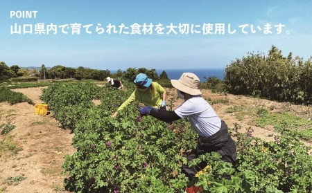 (10025)ジェラート むかつくジェラート アイス 6個入り 詰合せ おまかせ アイスクリーム ギフト プレゼント 長門市