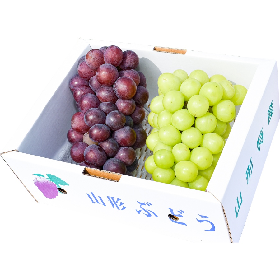 ＜ジオンジファーム＞大粒ぶどう2房（シャインマスカット＆品種お任せ）計1kg以上