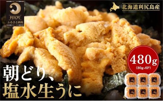 【2026年発送受付】利尻島産「朝どり」塩水生うに480g (80g×6) 天然キタムラサキウニ【6~8月発送分】｜北海道 朝獲れ 塩水 ウニ 無添加 ミョウバン不使用 生 うに 雲丹 国産 天然 利尻 キタムラサキ ムラサキ [1090022]
